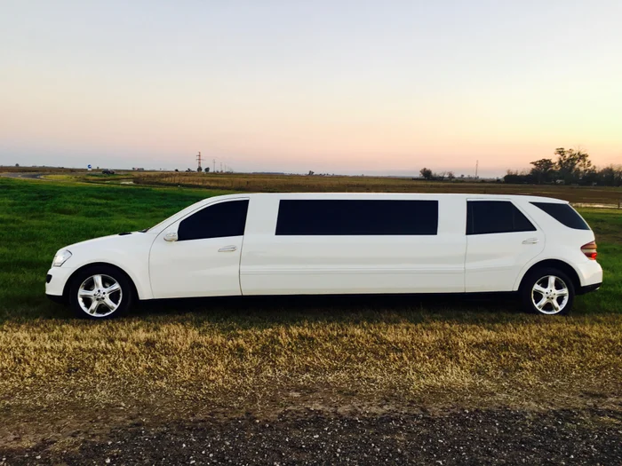 Mercedes Benz - Imagen 1